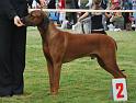 cacib MB 29.8.09 338